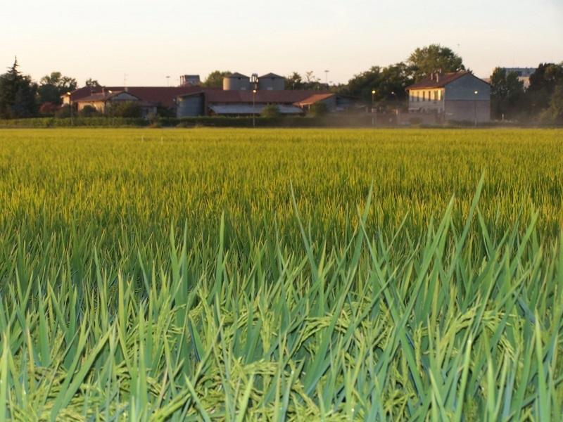 Вілла Cascina Battivacco Мілан Екстер'єр фото