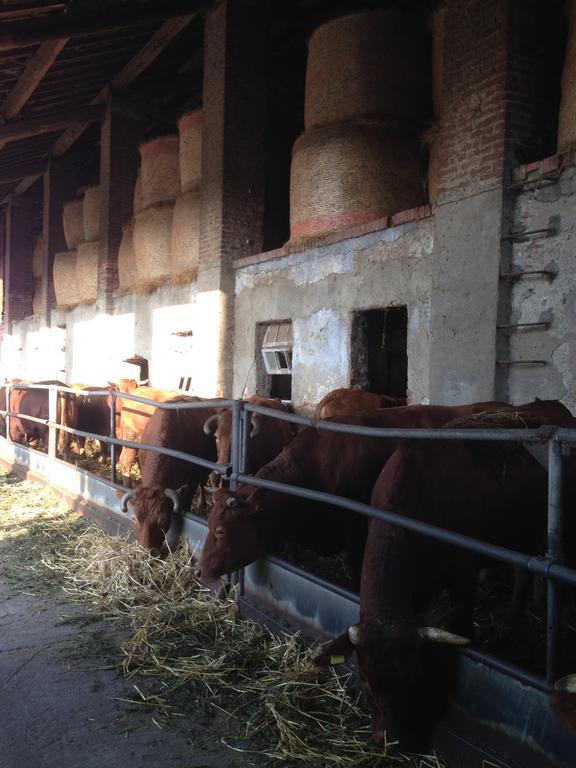 Вілла Cascina Battivacco Мілан Екстер'єр фото